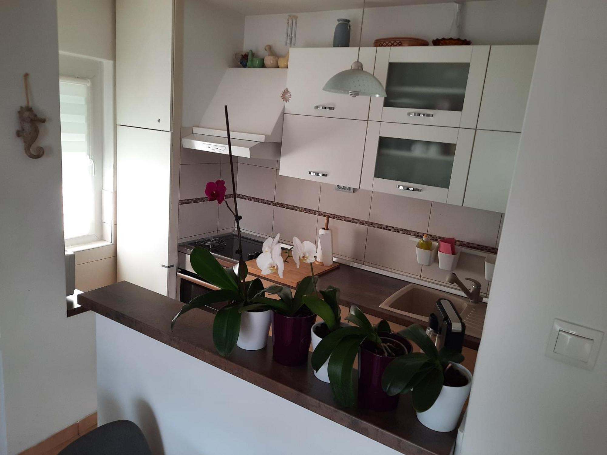 Apartments Anita Crikvenica Quarto foto